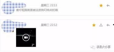 在哪查爆料视频记录